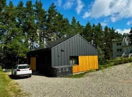 Pinetree Trakai holiday home