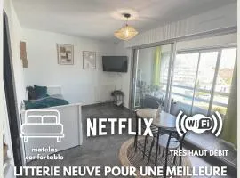 Havre de Sable - WIFI - Plage 250m - Centre ville à proximité - Pas de parking mais gratuit dans la rue