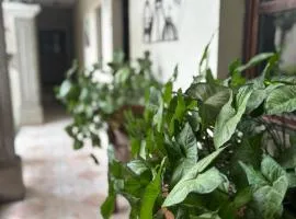 Cristales de Antigua La Calzada 2