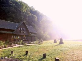 Pensiunea Dacica, hotell nära Sarmizegetusa Regia, Boşorod