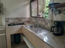 Casa Cocobolo Studio #1
