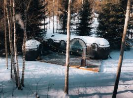 Pedasp&auml; Igloo House and Sauna