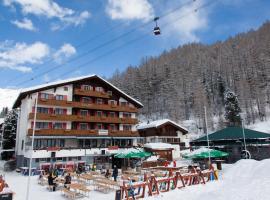 사스페에 위치한 호텔 Hotel THE LARIX ski-in ski-out