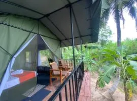 coconut camp udawalawe