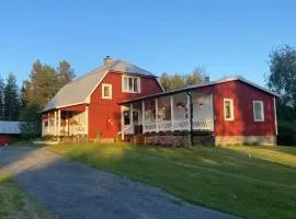 The Loft into the wild
