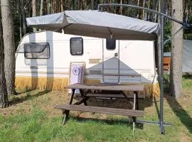 Camping w Lesie