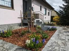 Ferienwohnung Stollburgblick
