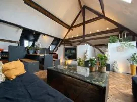 The Castle Loft - Pascal's Angels