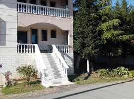 Παλατι Λευκοβρυση