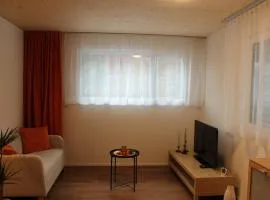 Ruhiges, schönes Studio in Zuchwil