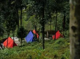 Gangtok View Camping