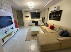Spacious One Bedroom MiniFlat Apartment