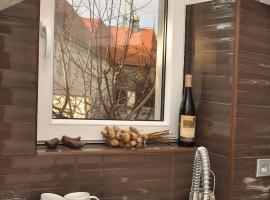 Luxury Apartment Novobranska, hotel near Capuchin Crypt, Brno