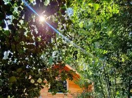 Casa Flores Verdes