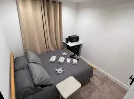 Room in Central London Zone 1