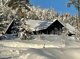 Villavemdalen, resorts de esqu&iacute; en Vemdalen