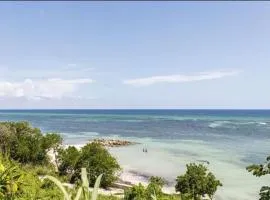 Oceana Vista