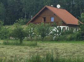 Ferienhaus zur Thusstrasse, biệt thự ở Röslau