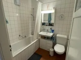 Sunny appartement near Downtown