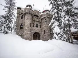 The Castles on Schweitzer