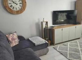 Bee Happy Apartament Wrzesnia