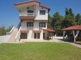 Elani Apartments Lofos Elanis 2