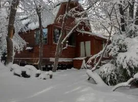 Cabañas Refugio del Cauquen - Moquehue