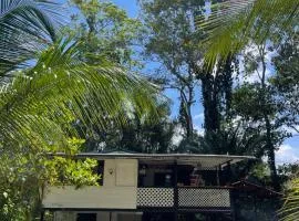 Cabaña willy