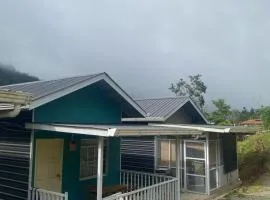 Dtwinnie homestay lalita house
