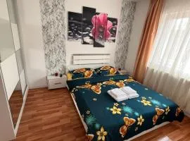 Medeea 1 camera Astralis