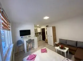 Apartmani Krčmarica 9