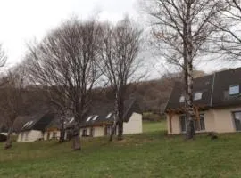 Gîte 19 confortable avec terrasse privée et vue sur le Puy Mary Cantal