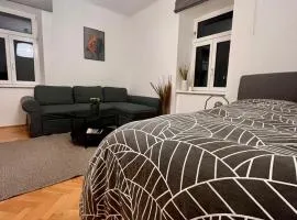 Comfy Room in Salzburg Center