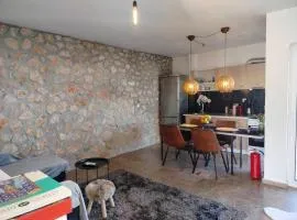 Emily's luxury apartment