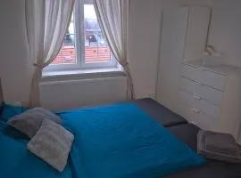 Friendly Apartment