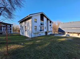 Apartment Yoya