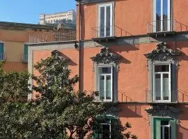 Deluxe Apartments in via Toledo