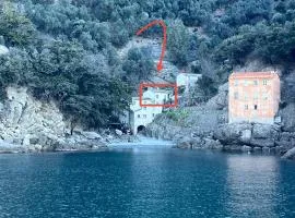 San Fruttuoso Amazing Cottage