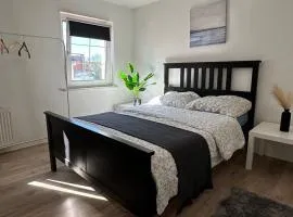 Rooms in Dresden