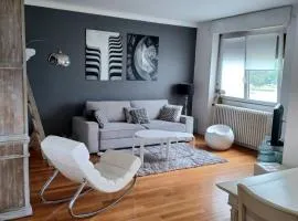 Appartement vue lac