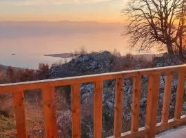 Home Livari Viewpoint