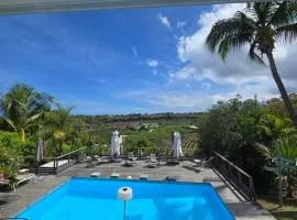 La Baie des Mangues 1 - Baba Figue - Nibou