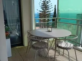 Luxury Apartment MonacoView