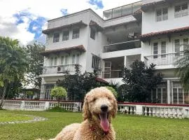 MiraNamin Nest KAMANTIGI Room - Pet Friendly, Shared Kitchen, Historical Home!