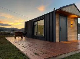 Tiny house in Terelj