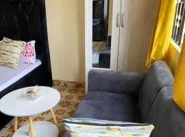 Comfort studio apartment