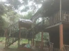 Sigiri Tree Cabana