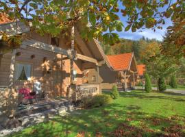 Mountain Inn Chalets & Apartments, family hotel in Walchsee