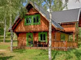 Nice Home In Czaplinek With Lake View
