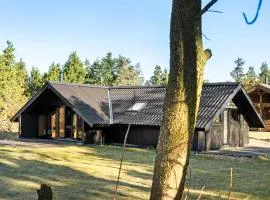 Gorgeous Home In Skjern With Wifi